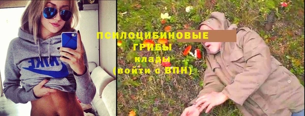 ГАЛЛЮЦИНОГЕННЫЕ ГРИБЫ Арсеньев