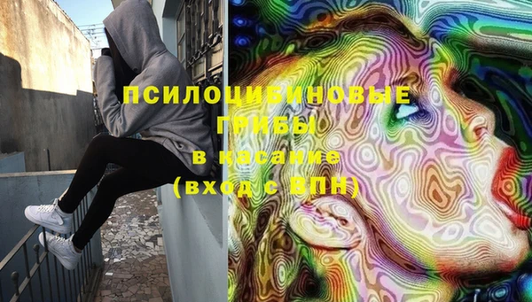 ГАЛЛЮЦИНОГЕННЫЕ ГРИБЫ Арсеньев