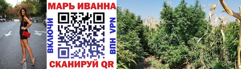 Канабис семена  Оханск 